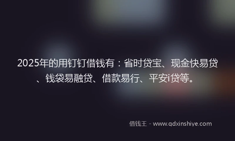 2025年的用钉钉借钱有：省时贷宝、现金快易贷、钱袋易融贷、借款易行、平安i贷等。