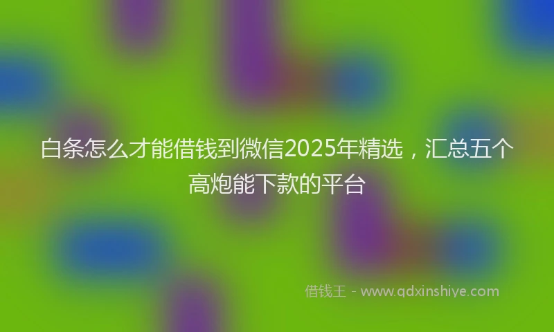 白条怎么才能借钱到微信2025年精选，汇总五个高炮能下款的平台