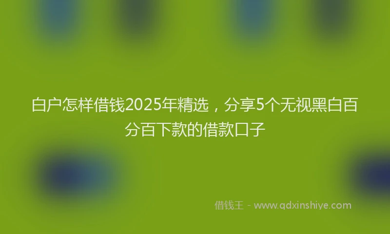 白户怎样借钱2025年精选，分享5个无视黑白百分百下款的借款口子