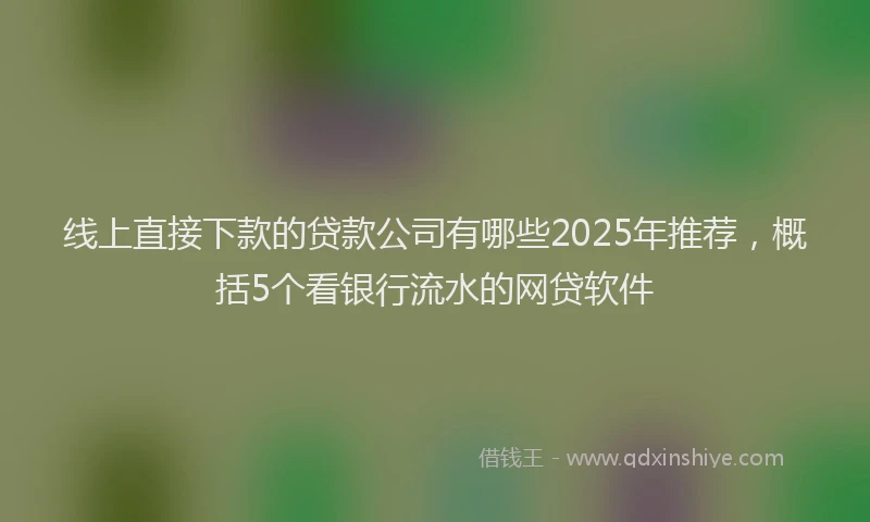 线上直接下款的贷款公司有哪些2025年推荐，概括5个看银行流水的网贷软件