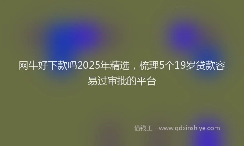 网牛好下款吗2025年精选，梳理5个19岁贷款容易过审批的平台