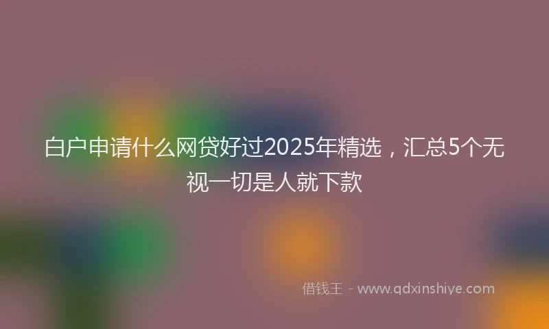 白户申请什么网贷好过2025年精选，汇总5个无视一切是人就下款