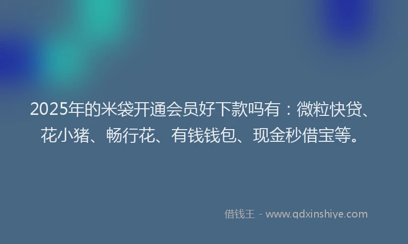 2025年的米袋开通会员好下款吗有：微粒快贷、花小猪、畅行花、有钱钱包、现金秒借宝等。