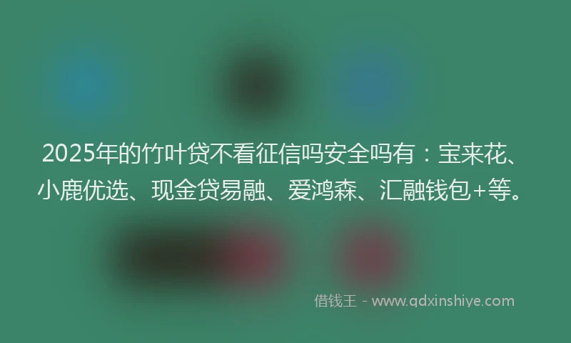 2025年的竹叶贷不看征信吗安全吗有：宝来花、小鹿优选、现金贷易融、爱鸿森、汇融钱包+等。