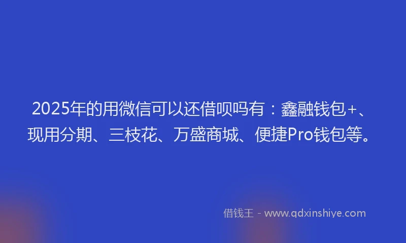 2025年的用微信可以还借呗吗有：鑫融钱包+、现用分期、三枝花、万盛商城、便捷Pro钱包等。