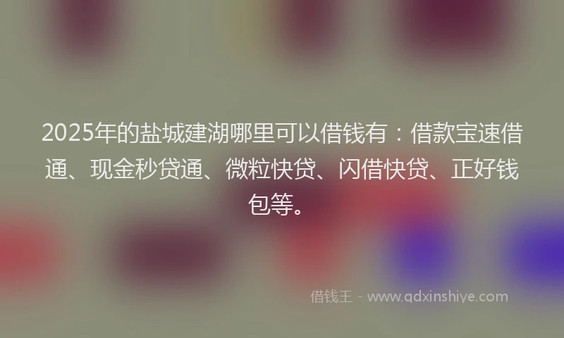 2025年的盐城建湖哪里可以借钱有：借款宝速借通、现金秒贷通、微粒快贷、闪借快贷、正好钱包等。