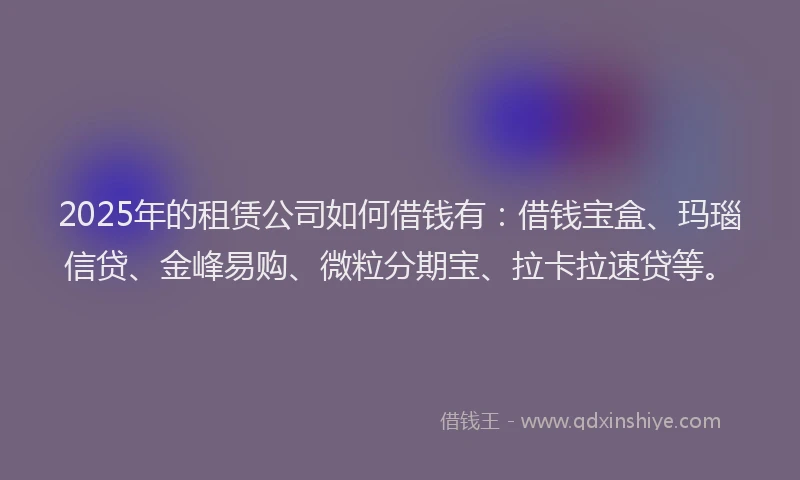 2025年的租赁公司如何借钱有：借钱宝盒、玛瑙信贷、金峰易购、微粒分期宝、拉卡拉速贷等。