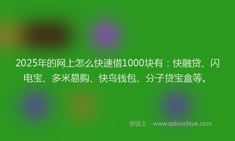 2025年的网上怎么快速借1000块有：快融贷、闪电宝、多米易购、快鸟钱包、分子贷宝盒等。