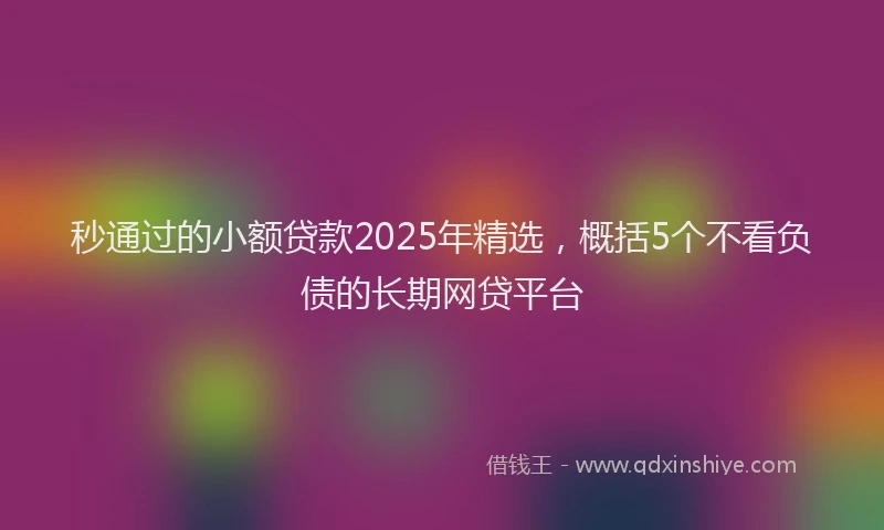 秒通过的小额贷款2025年精选，概括5个不看负债的长期网贷平台