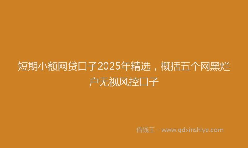 短期小额网贷口子2025年精选，概括五个网黑烂户无视风控口子