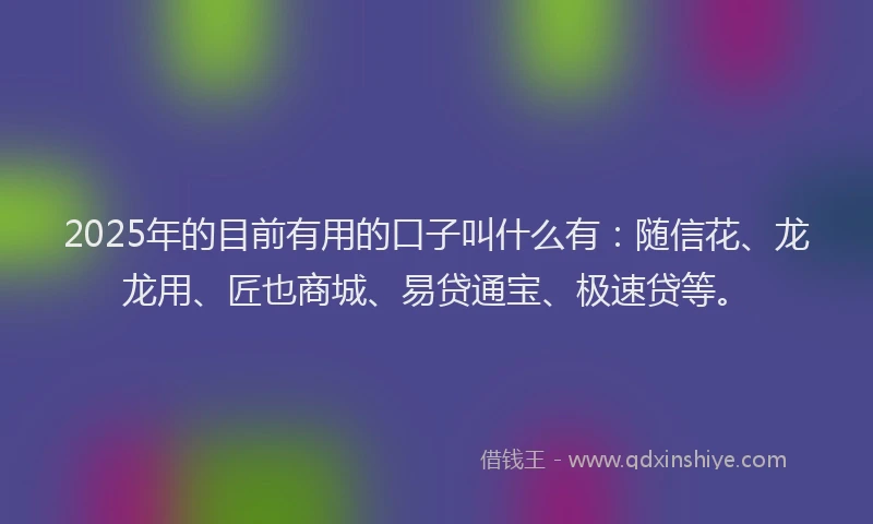 2025年的目前有用的口子叫什么有：随信花、龙龙用、匠也商城、易贷通宝、极速贷等。