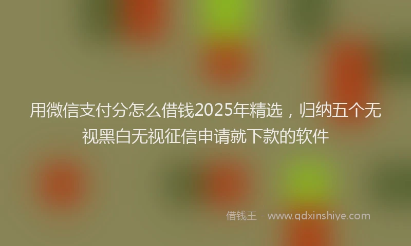 用微信支付分怎么借钱2025年精选，归纳五个无视黑白无视征信申请就下款的软件