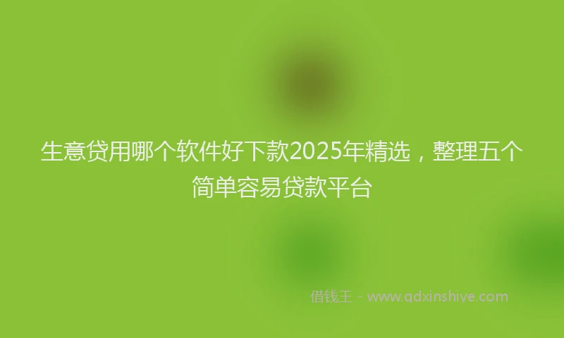 生意贷用哪个软件好下款2025年精选，整理五个简单容易贷款平台