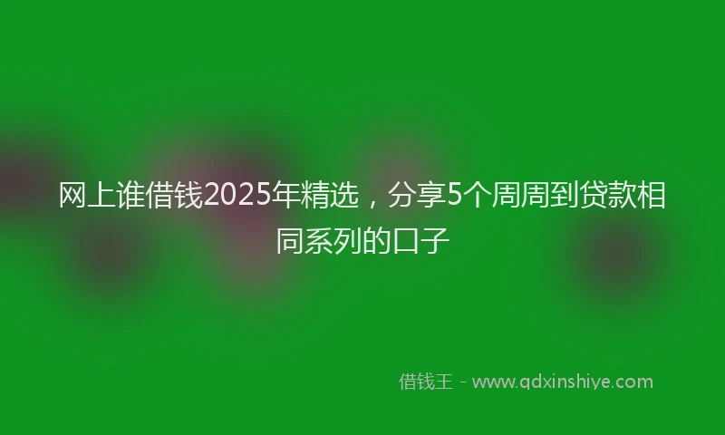 网上谁借钱2025年精选，分享5个周周到贷款相同系列的口子