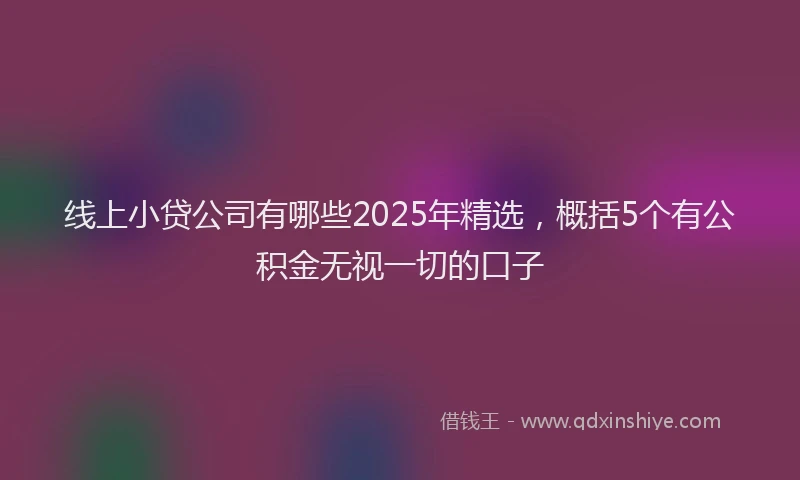 线上小贷公司有哪些2025年精选，概括5个有公积金无视一切的口子