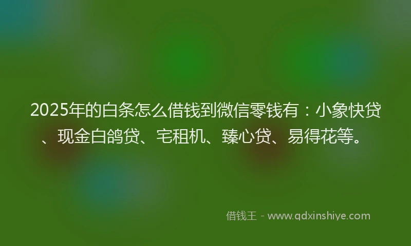 2025年的白条怎么借钱到微信零钱有：小象快贷、现金白鸽贷、宅租机、臻心贷、易得花等。
