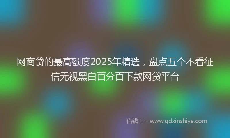 网商贷的最高额度2025年精选，盘点五个不看征信无视黑白百分百下款网贷平台
