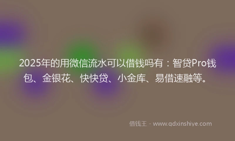 2025年的用微信流水可以借钱吗有：智贷Pro钱包、金银花、快快贷、小金库、易借速融等。