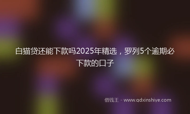 白猫贷还能下款吗2025年精选，罗列5个逾期必下款的口子