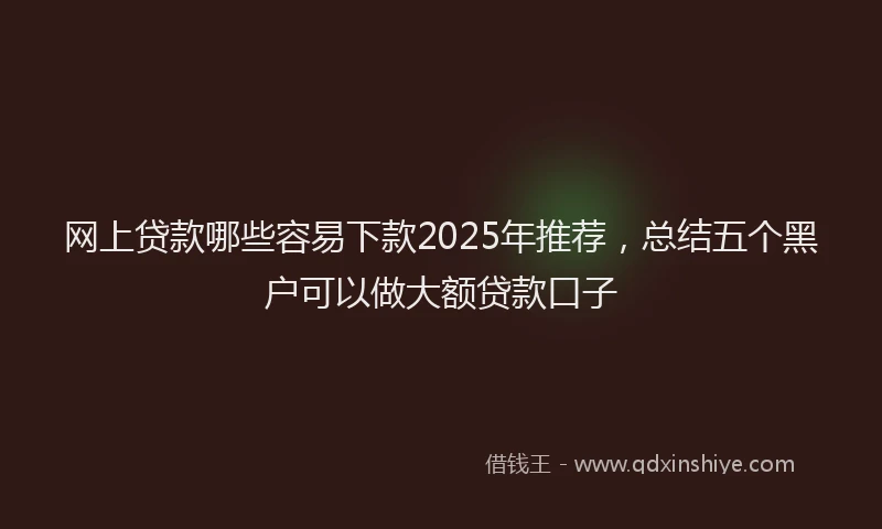 网上贷款哪些容易下款2025年推荐，总结五个黑户可以做大额贷款口子