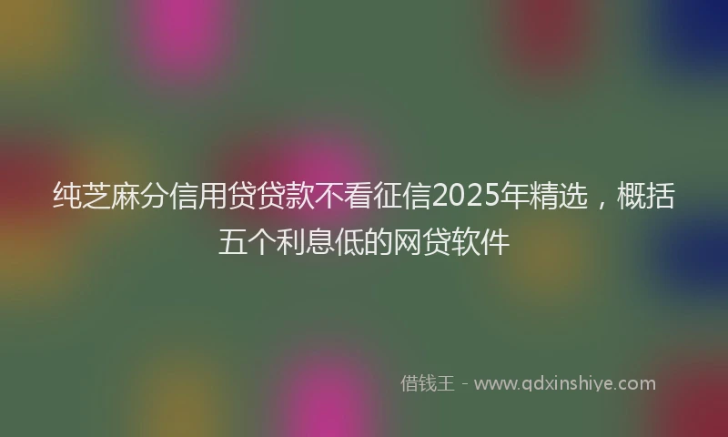 纯芝麻分信用贷贷款不看征信2025年精选，概括五个利息低的网贷软件