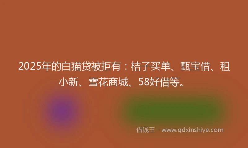 2025年的白猫贷被拒有：桔子买单、甄宝借、租小新、雪花商城、58好借等。