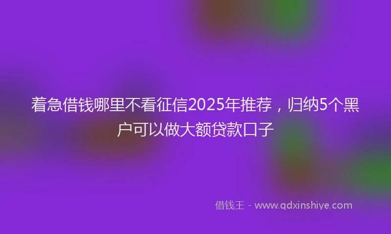 着急借钱哪里不看征信2025年推荐，归纳5个黑户可以做大额贷款口子