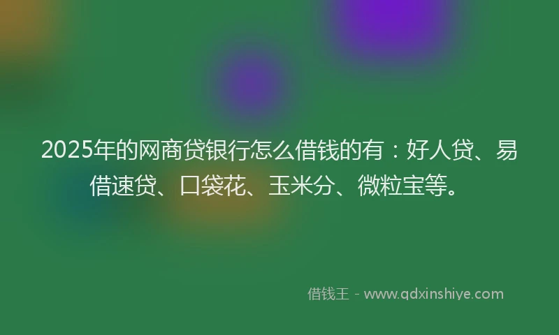 2025年的网商贷银行怎么借钱的有：好人贷、易借速贷、口袋花、玉米分、微粒宝等。