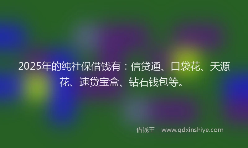 2025年的纯社保借钱有：信贷通、口袋花、天源花、速贷宝盒、钻石钱包等。