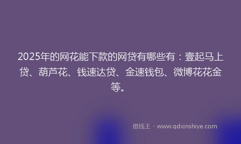 2025年的网花能下款的网贷有哪些有：壹起马上贷、葫芦花、钱速达贷、金速钱包、微博花花金等。
