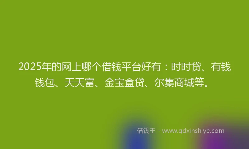 2025年的网上哪个借钱平台好有：时时贷、有钱钱包、天天富、金宝盒贷、尔集商城等。