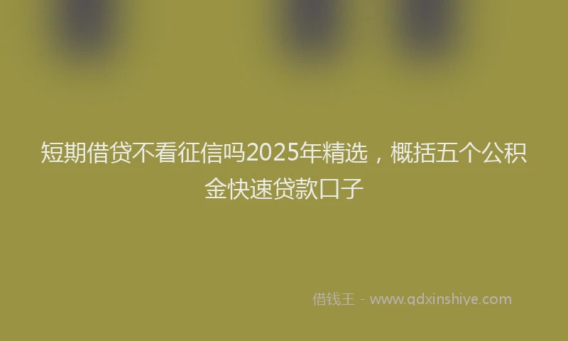 短期借贷不看征信吗2025年精选，概括五个公积金快速贷款口子