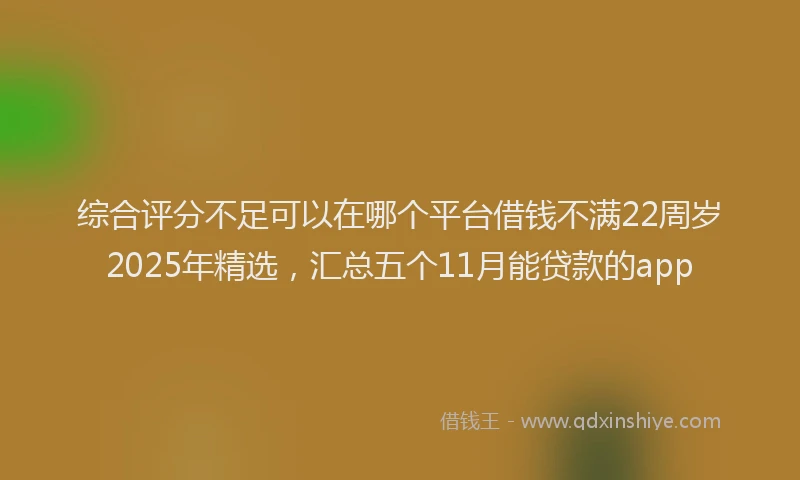 综合评分不足可以在哪个平台借钱不满22周岁2025年精选，汇总五个11月能贷款的app