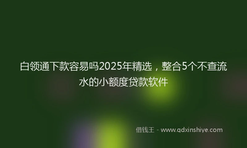 白领通下款容易吗2025年精选，整合5个不查流水的小额度贷款软件