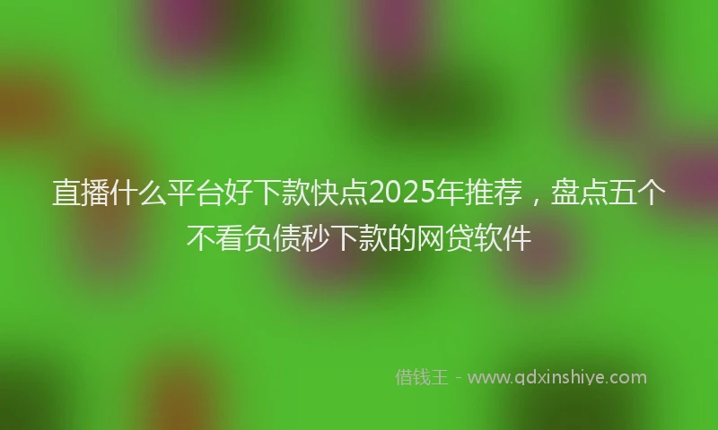 直播什么平台好下款快点2025年推荐，盘点五个不看负债秒下款的网贷软件
