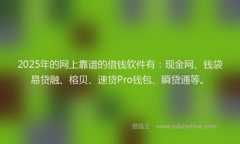 2025年的网上靠谱的借钱软件有：现金网、钱袋易贷融、榕贝、速贷Pro钱包、瞬贷通等。