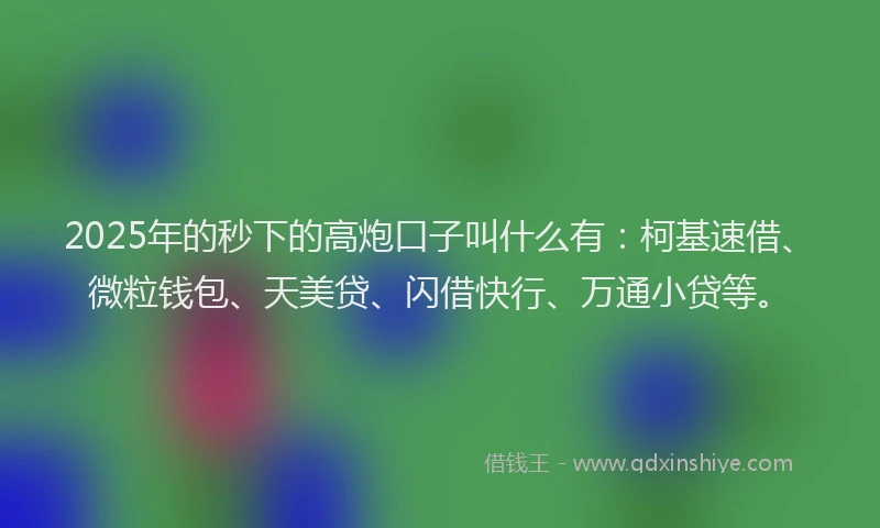 2025年的秒下的高炮口子叫什么有：柯基速借、微粒钱包、天美贷、闪借快行、万通小贷等。