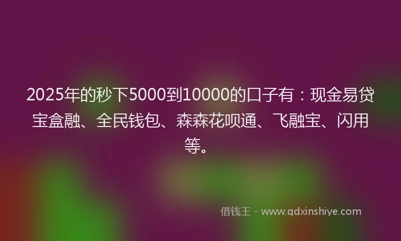 2025年的秒下5000到10000的口子有：现金易贷宝盒融、全民钱包、森森花呗通、飞融宝、闪用等。