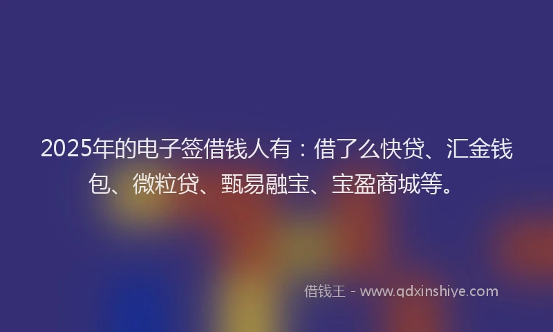 2025年的电子签借钱人有：借了么快贷、汇金钱包、微粒贷、甄易融宝、宝盈商城等。