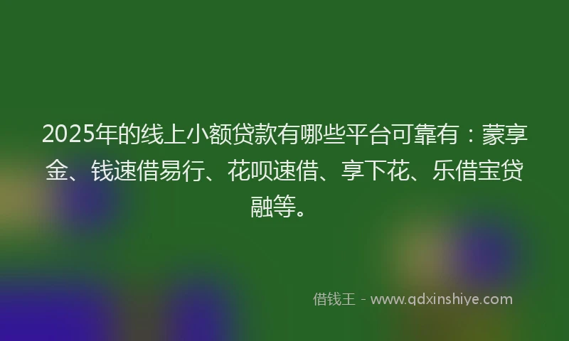 2025年的线上小额贷款有哪些平台可靠有：蒙享金、钱速借易行、花呗速借、享下花、乐借宝贷融等。