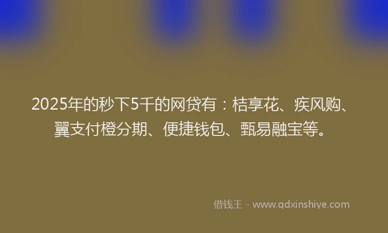 2025年的秒下5千的网贷有：桔享花、疾风购、翼支付橙分期、便捷钱包、甄易融宝等。