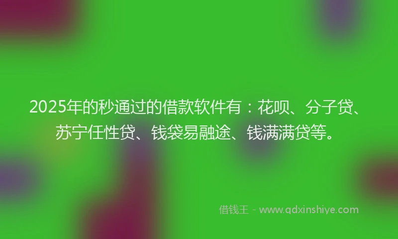 2025年的秒通过的借款软件有：花呗、分子贷、苏宁任性贷、钱袋易融途、钱满满贷等。