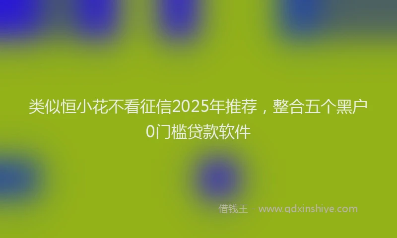 类似恒小花不看征信2025年推荐，整合五个黑户0门槛贷款软件