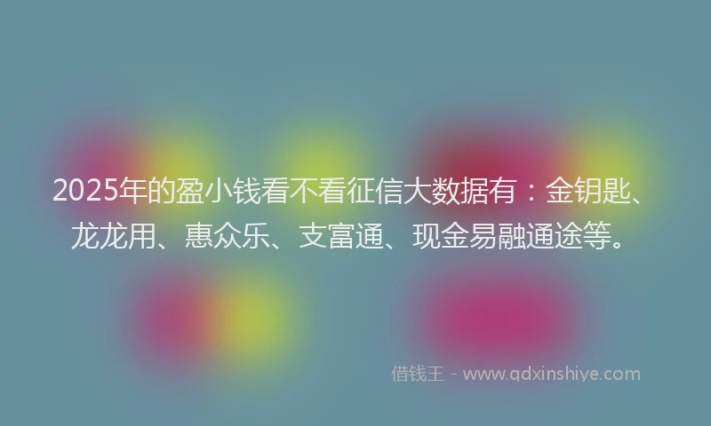 2025年的盈小钱看不看征信大数据有：金钥匙、龙龙用、惠众乐、支富通、现金易融通途等。