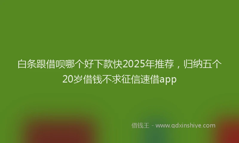 白条跟借呗哪个好下款快2025年推荐，归纳五个20岁借钱不求征信速借app