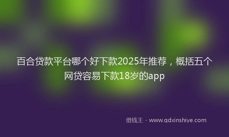 百合贷款平台哪个好下款2025年推荐，概括五个网贷容易下款18岁的app