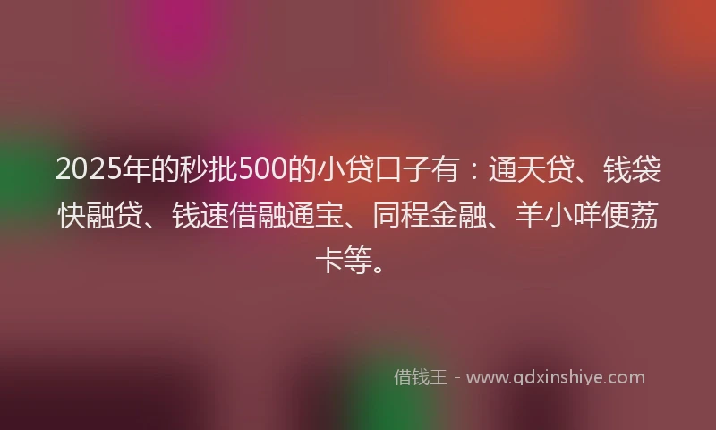 2025年的秒批500的小贷口子有：通天贷、钱袋快融贷、钱速借融通宝、同程金融、羊小咩便荔卡等。