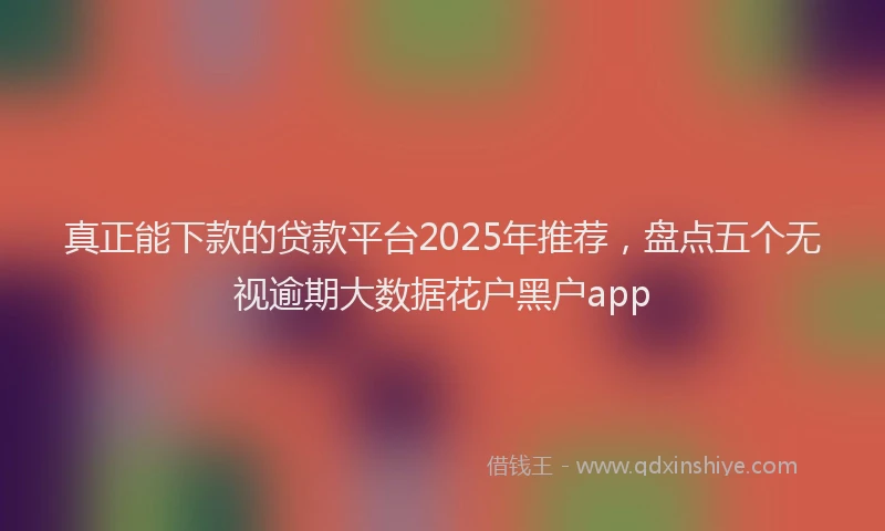 真正能下款的贷款平台2025年推荐，盘点五个无视逾期大数据花户黑户app