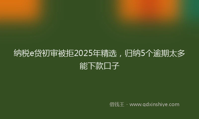 纳税e贷初审被拒2025年精选，归纳5个逾期太多能下款口子