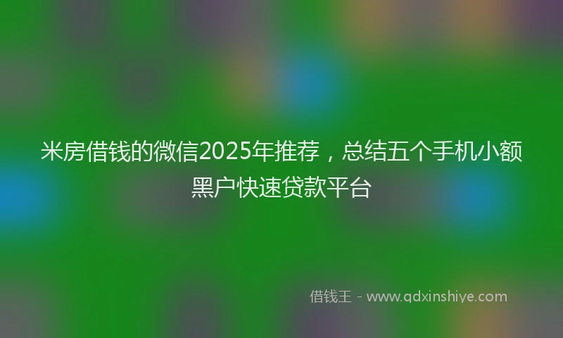 米房借钱的微信2025年推荐，总结五个手机小额黑户快速贷款平台